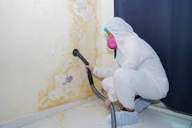 Best Comprehensive Air Testing for Mold Contaminants  in Hampton, AR